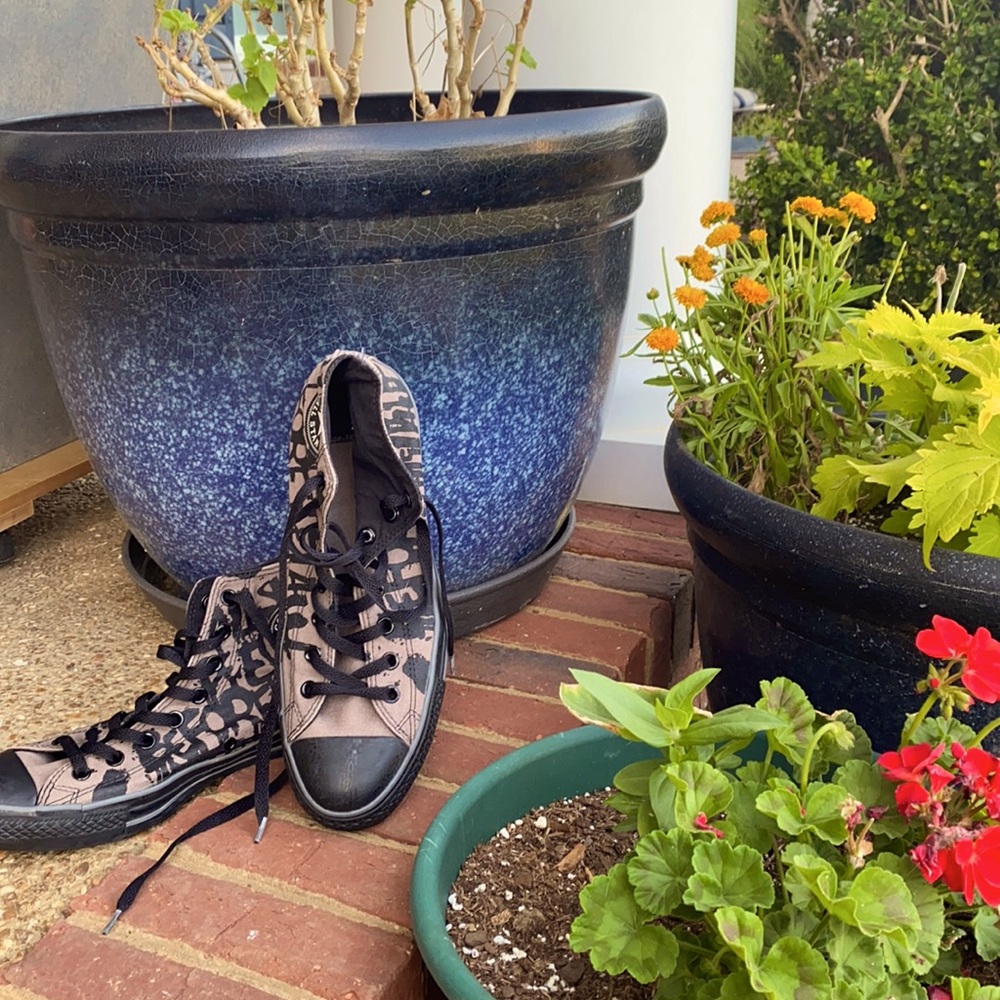 Converse Chuck Taylor All Star high top sneakers